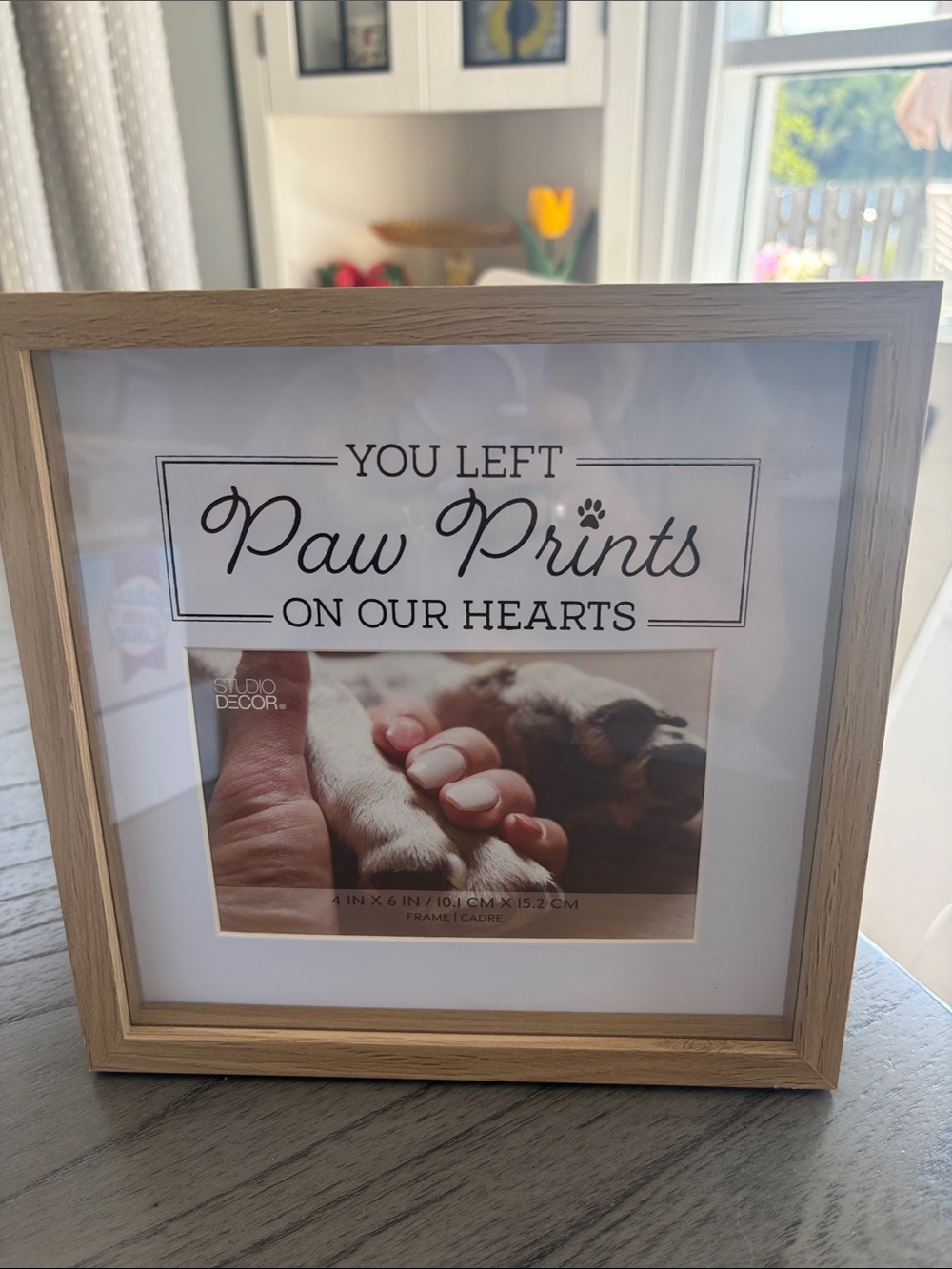 Studio Decor Light Wood Paw Prints Memorial Frame